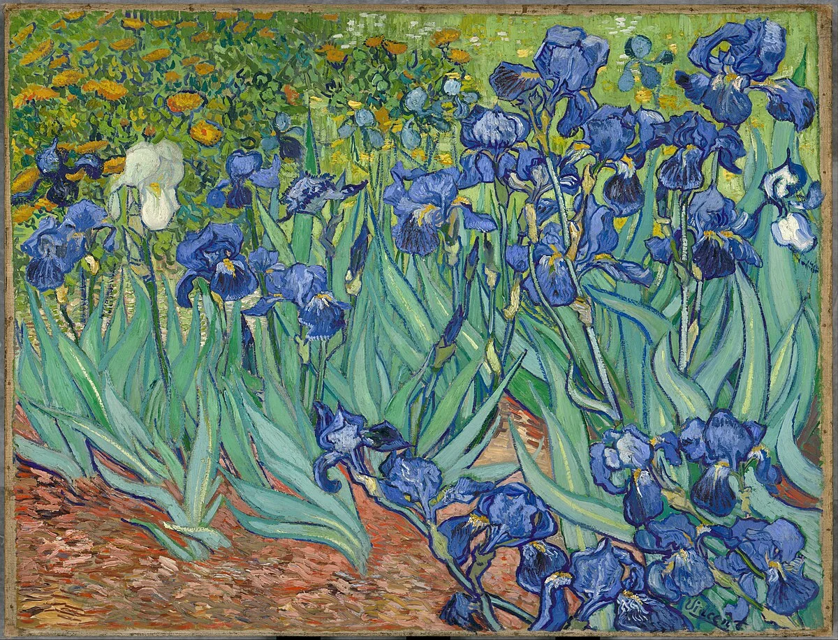 Van Gogh's Irises oil painting, vibrant blue and white flowers, impressionistic style, joyful mood.